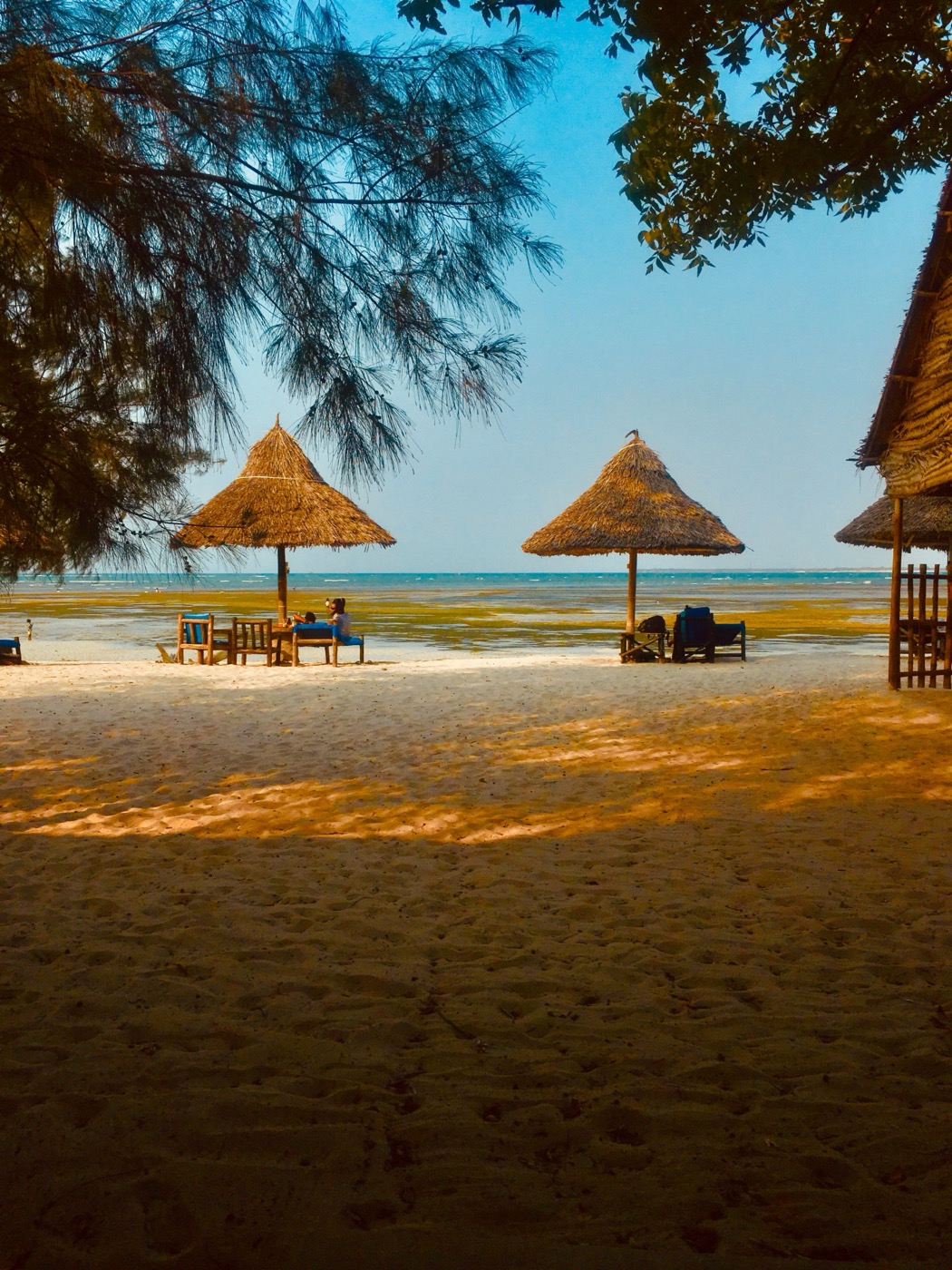 Tanzania Honeymoon Safari & Zanzibar Beach Escape, photo 2