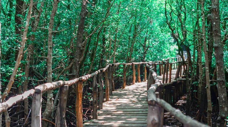 Jozani Forest — photo 4