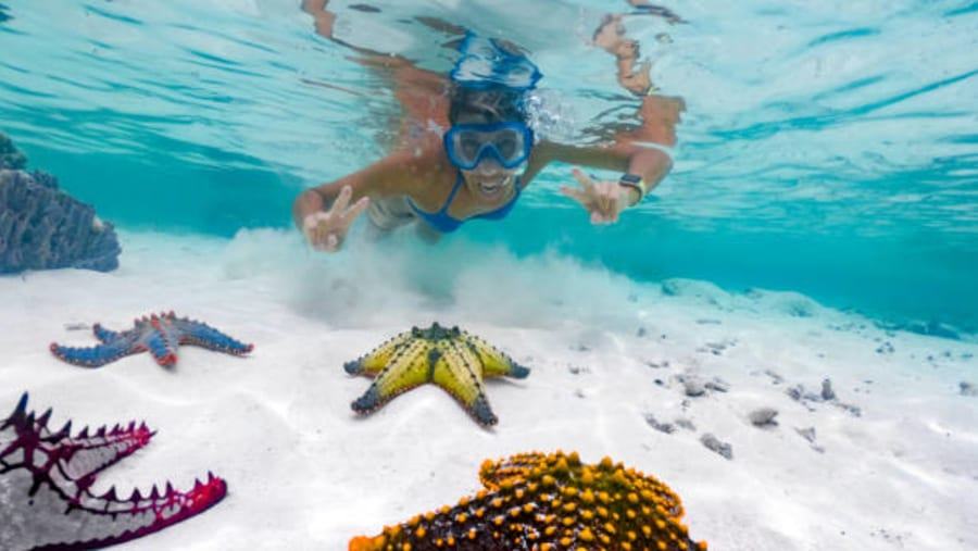 Snorkelling over a coral reef in clear water off Zanzibar