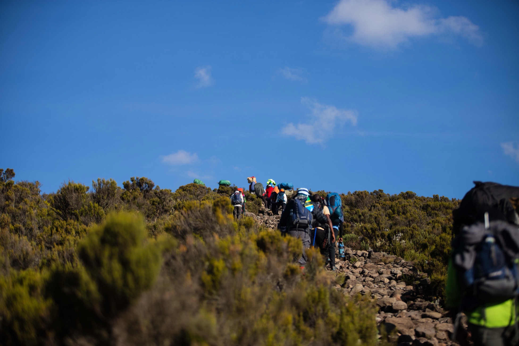 Kilimanjaro Marangu Route Trek