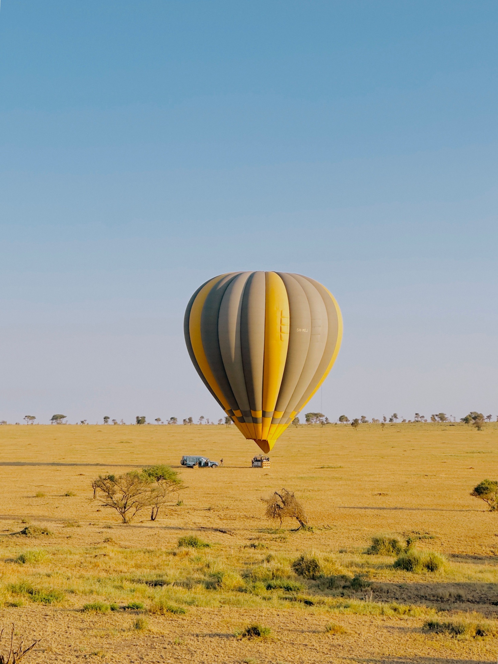 Serengeti Wildlife & Hot Air Balloon Safari