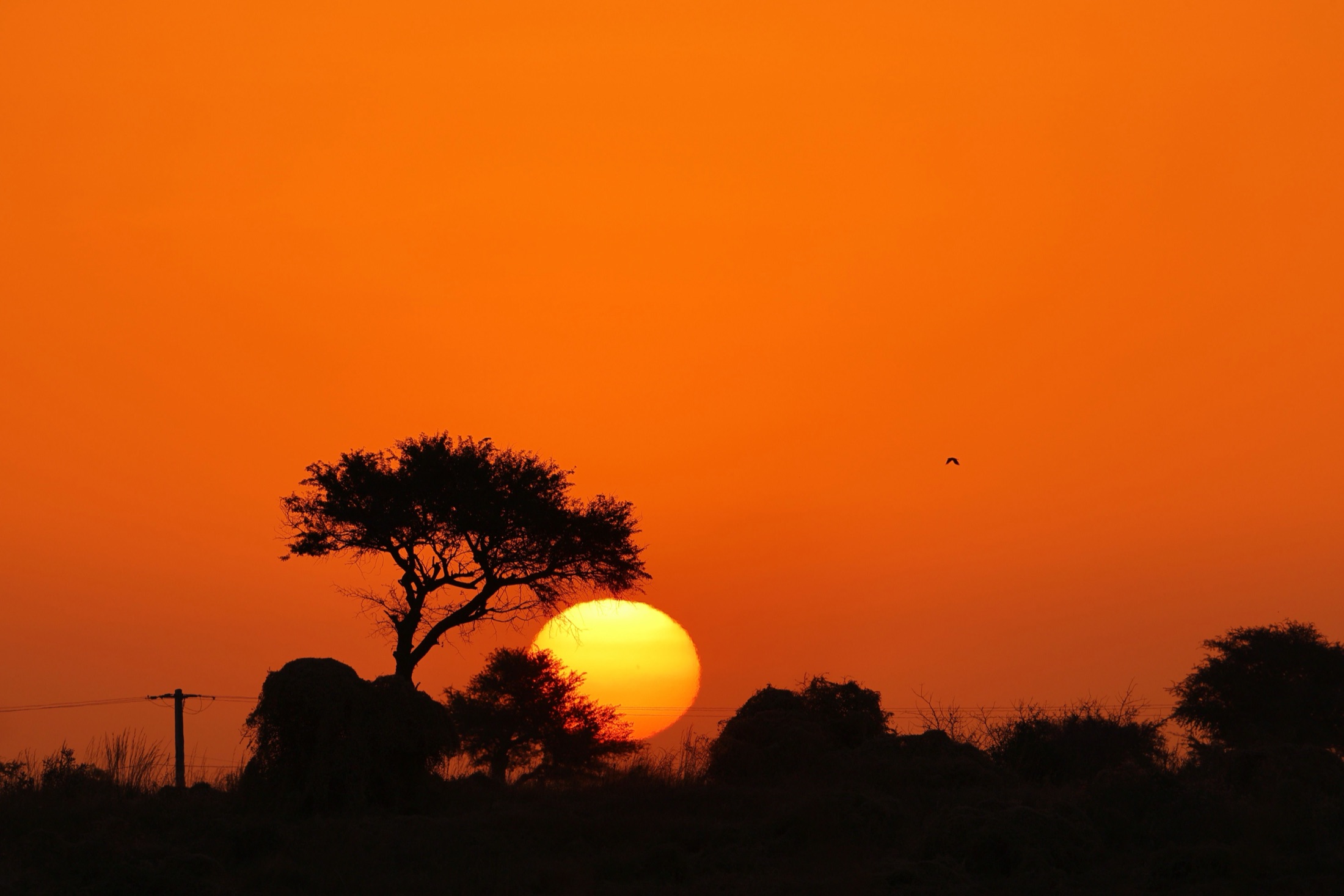 Serengeti & Ngorongoro Crater Safari